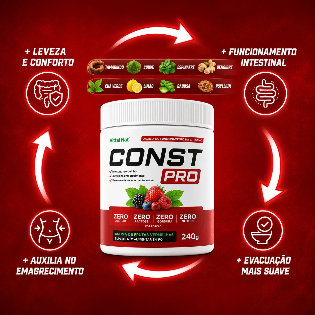 Tratamento de Constipação Intestinal - Const PRO Vittal Nat